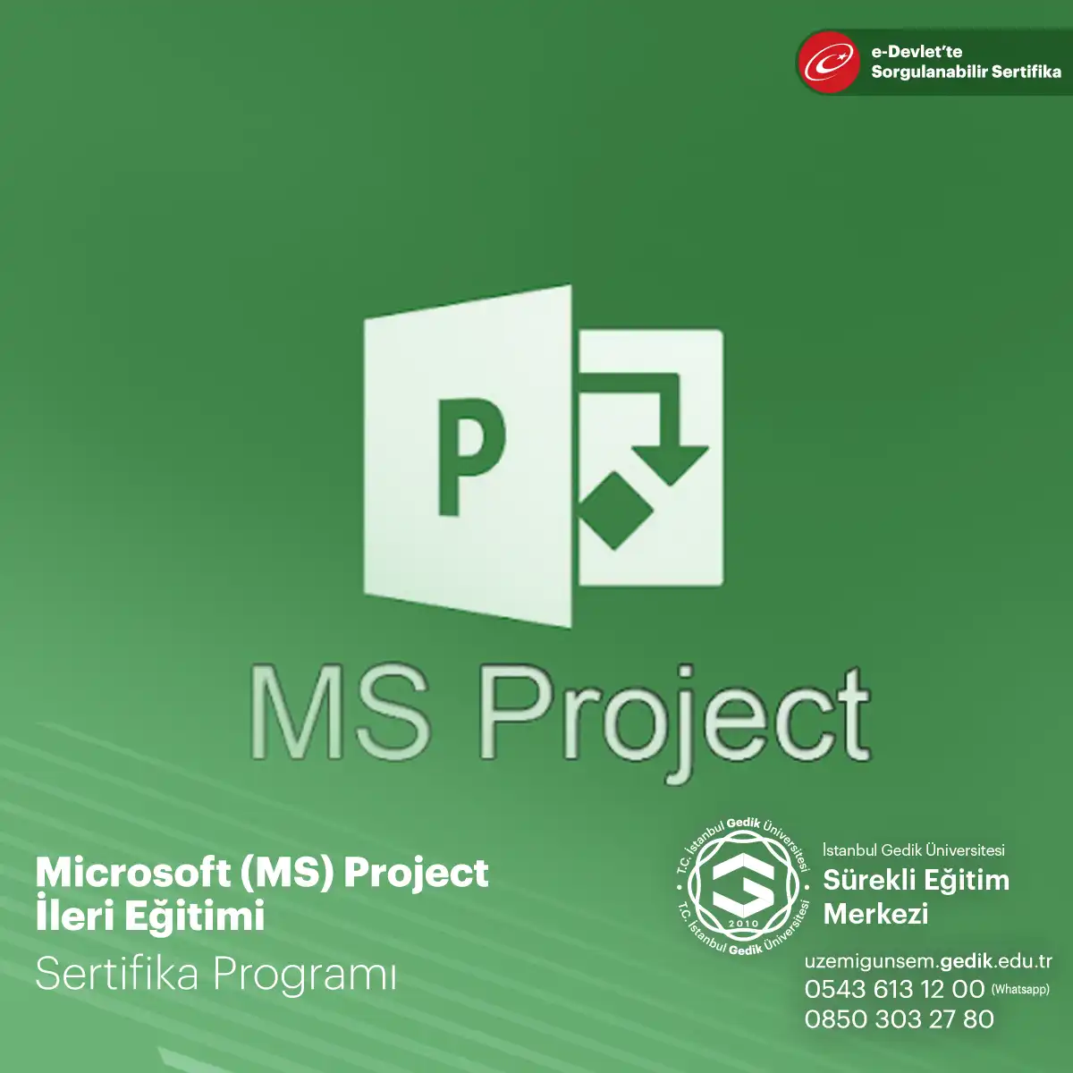 Microsoft (MS) Project İleri Eğitimi 